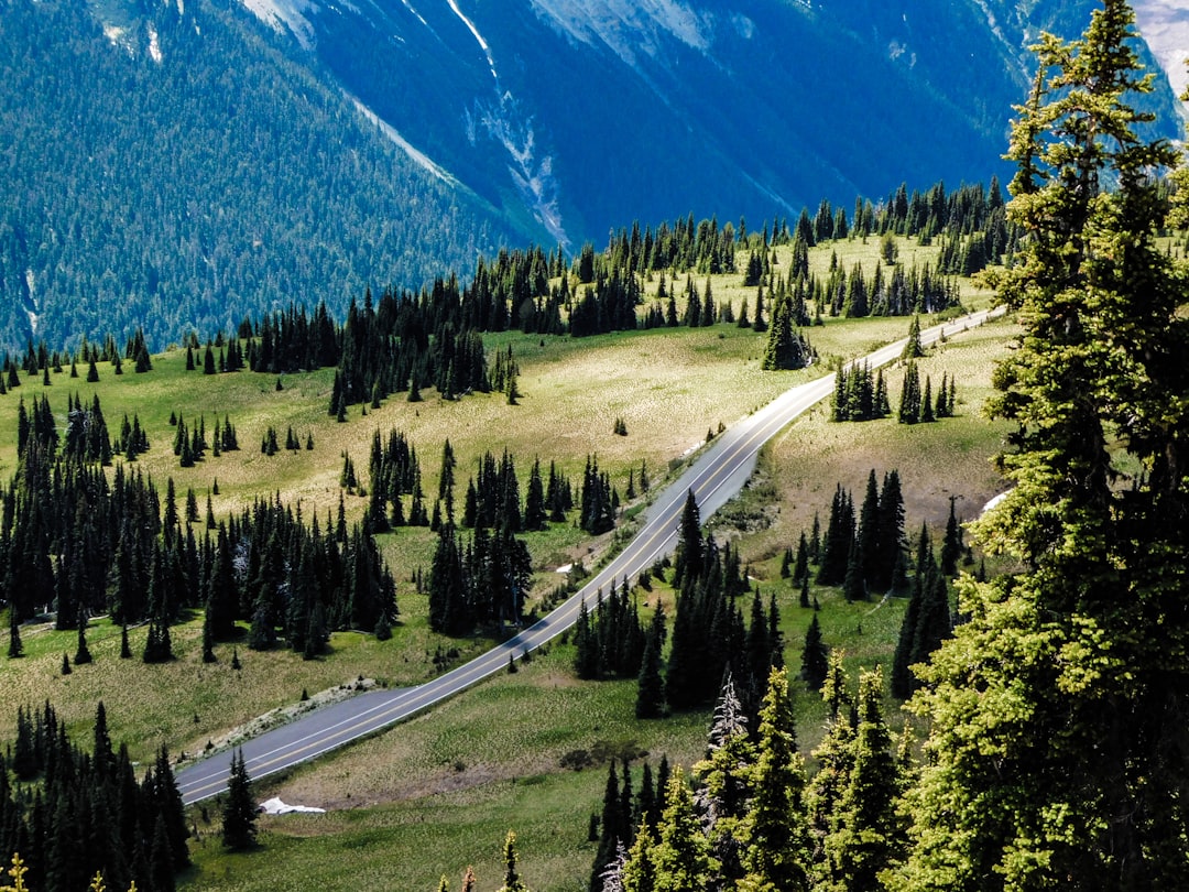 Road to Sunrise area in Mount Rainier National Park with mountain landscape